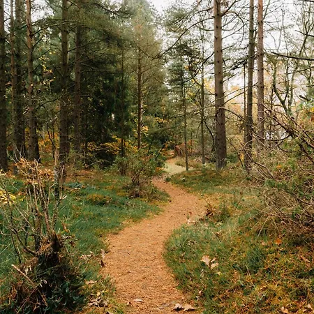 Woodhouse Denmark